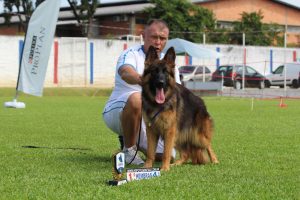 Matilha dos Bravos